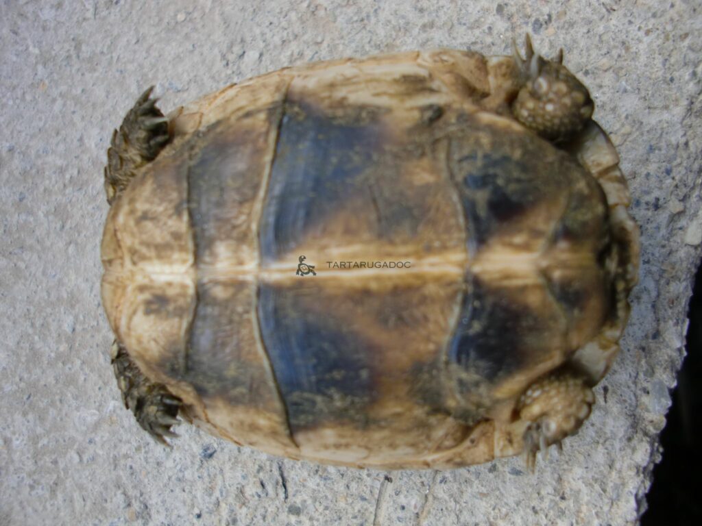 CIMG6267 risultato 1