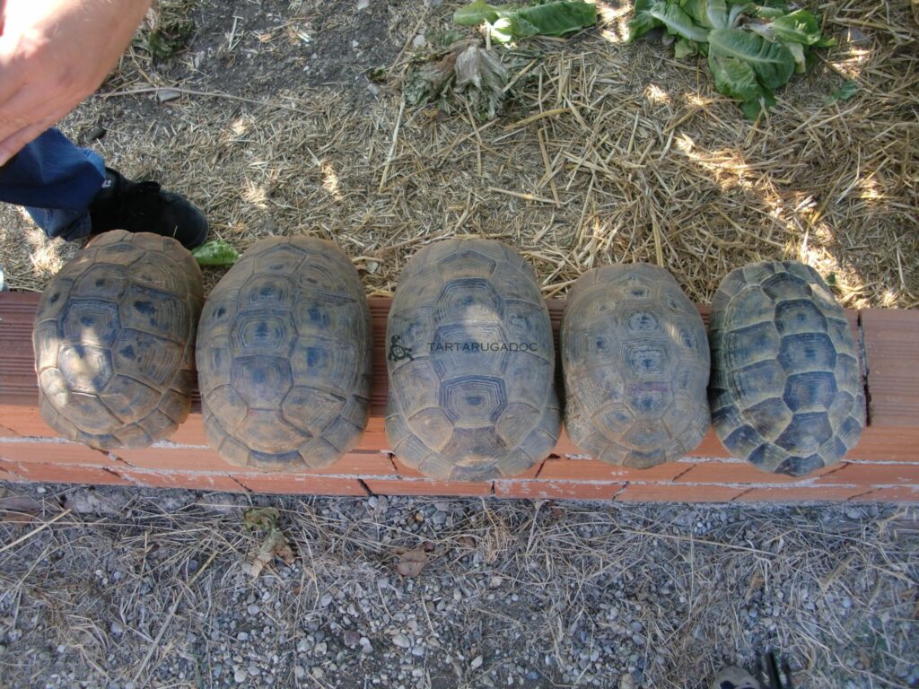 CIMG6452 risultato