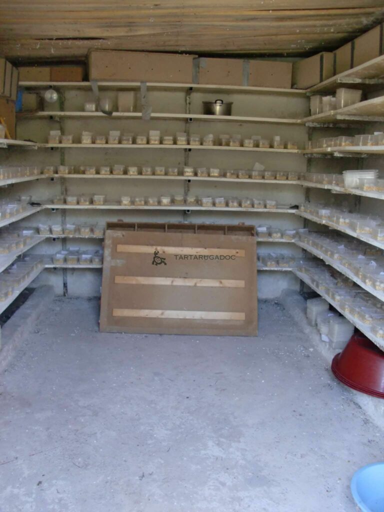 CIMG6463 risultato 1