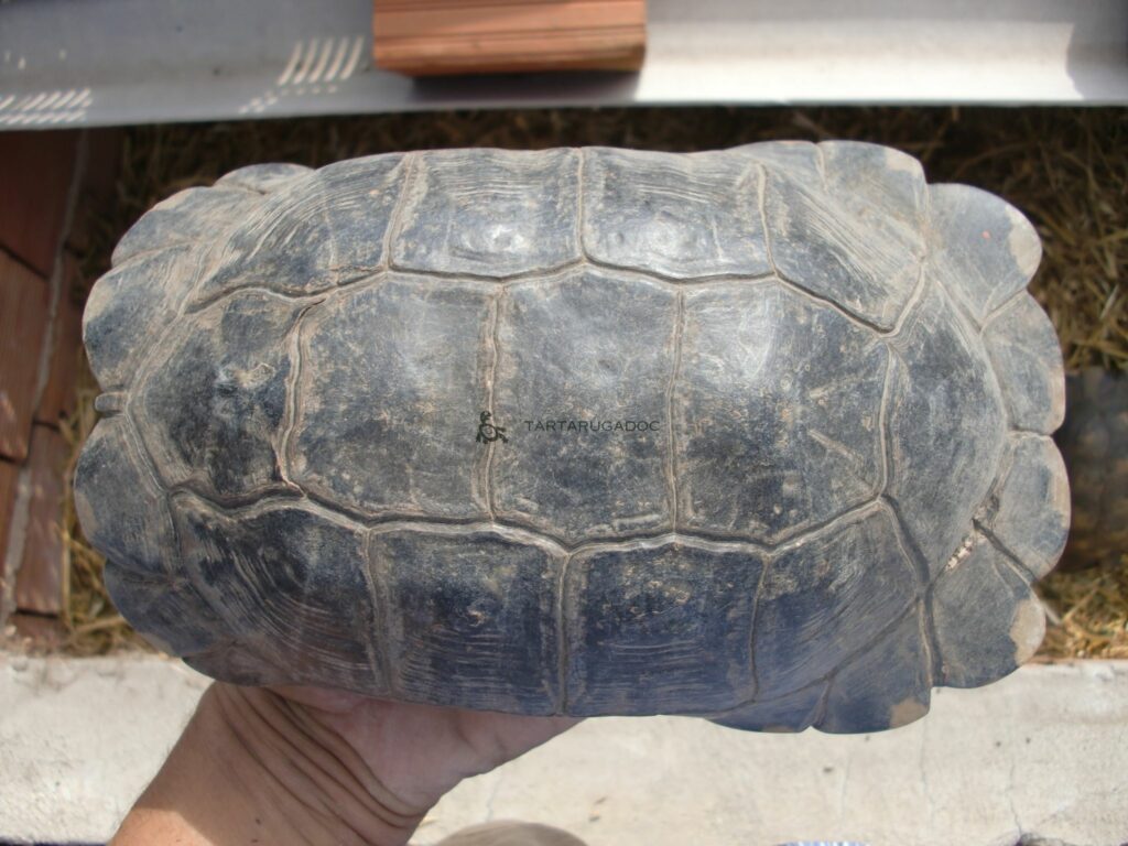 CIMG6492 risultato 1