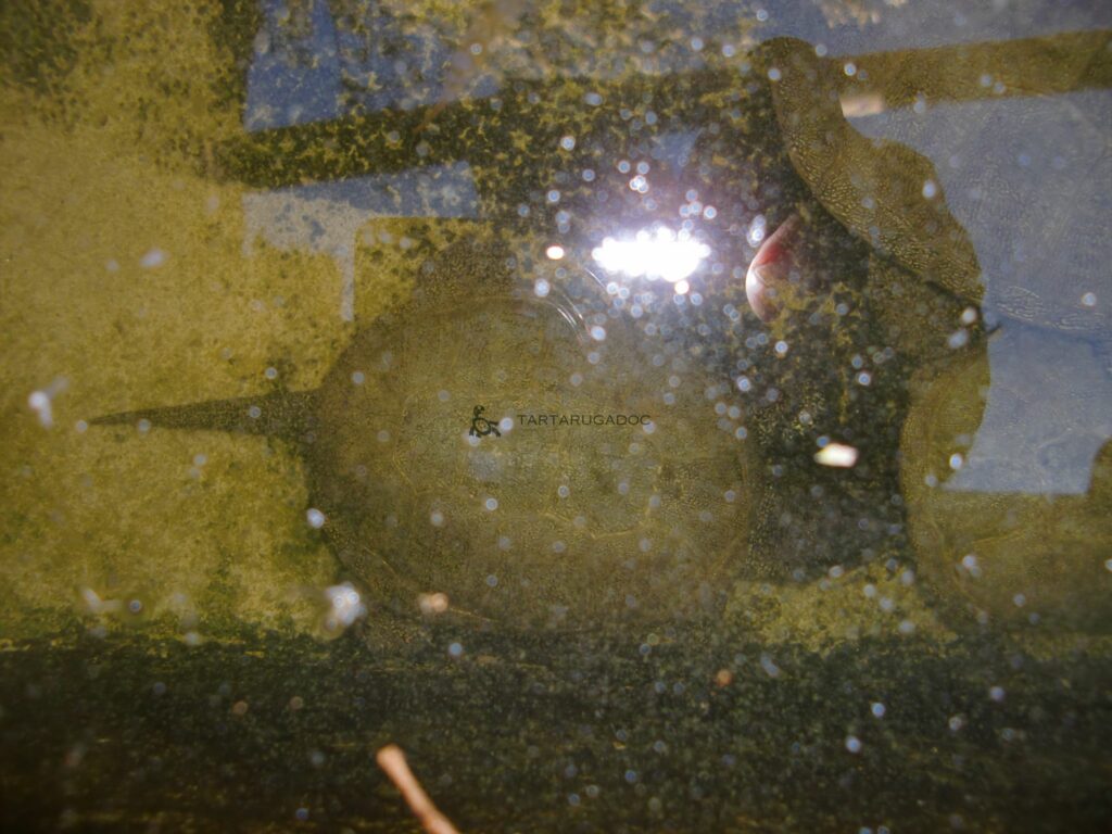 CIMG6558 risultato 2