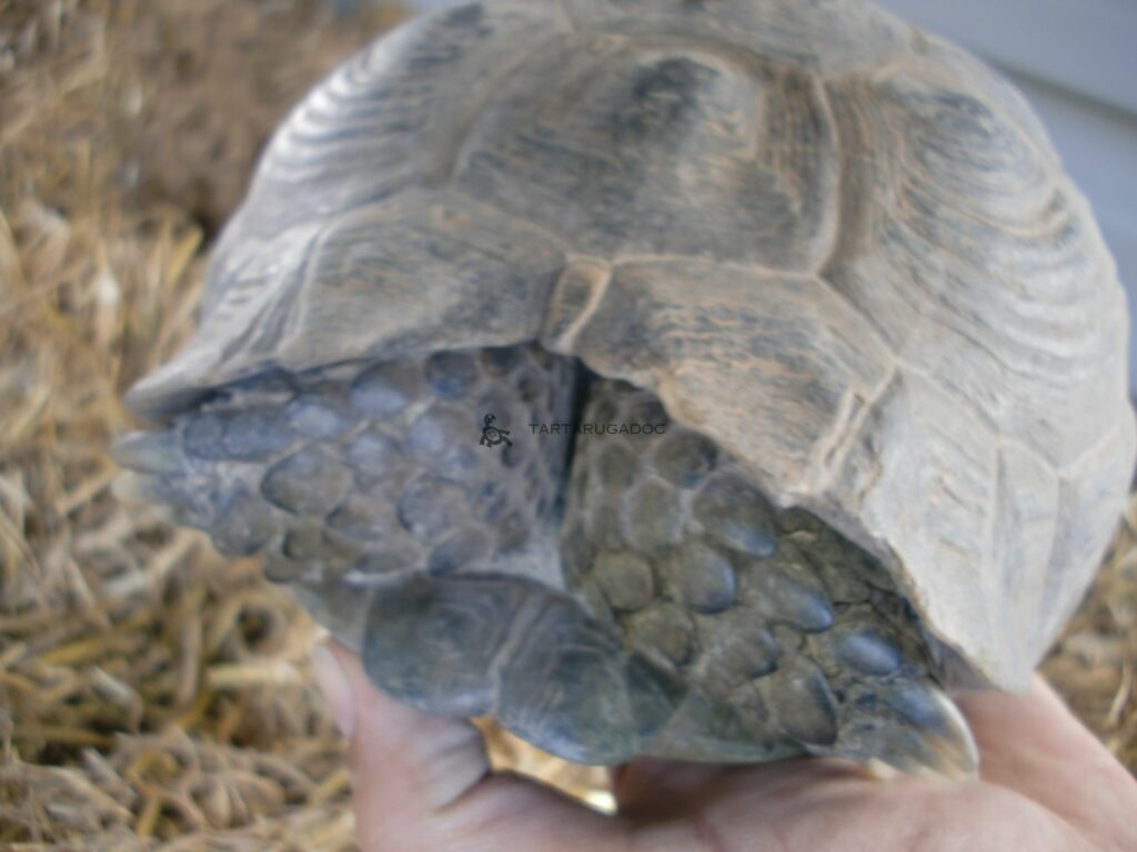 CIMG6579 risultato 2