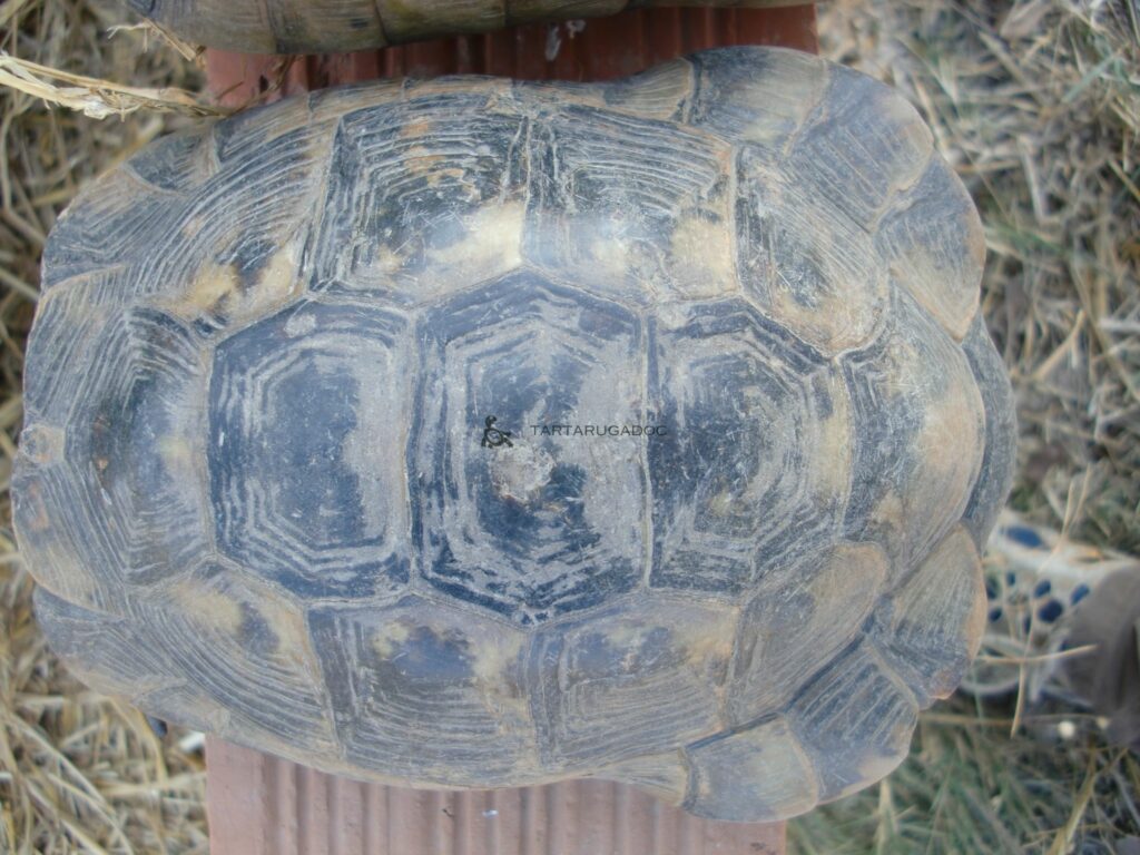 CIMG6613 risultato 1
