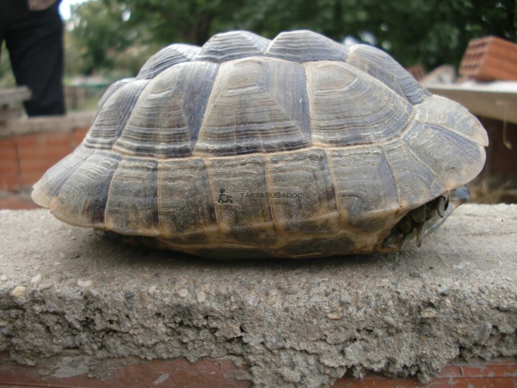 CIMG6648 risultato 1