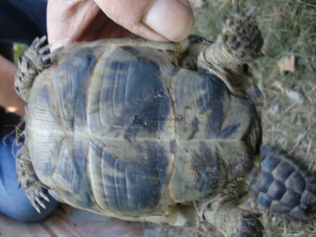 CIMG6519 risultato