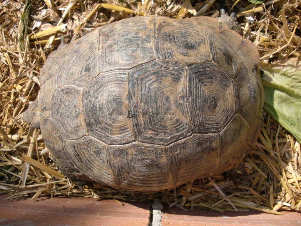 CIMG6539 risultato