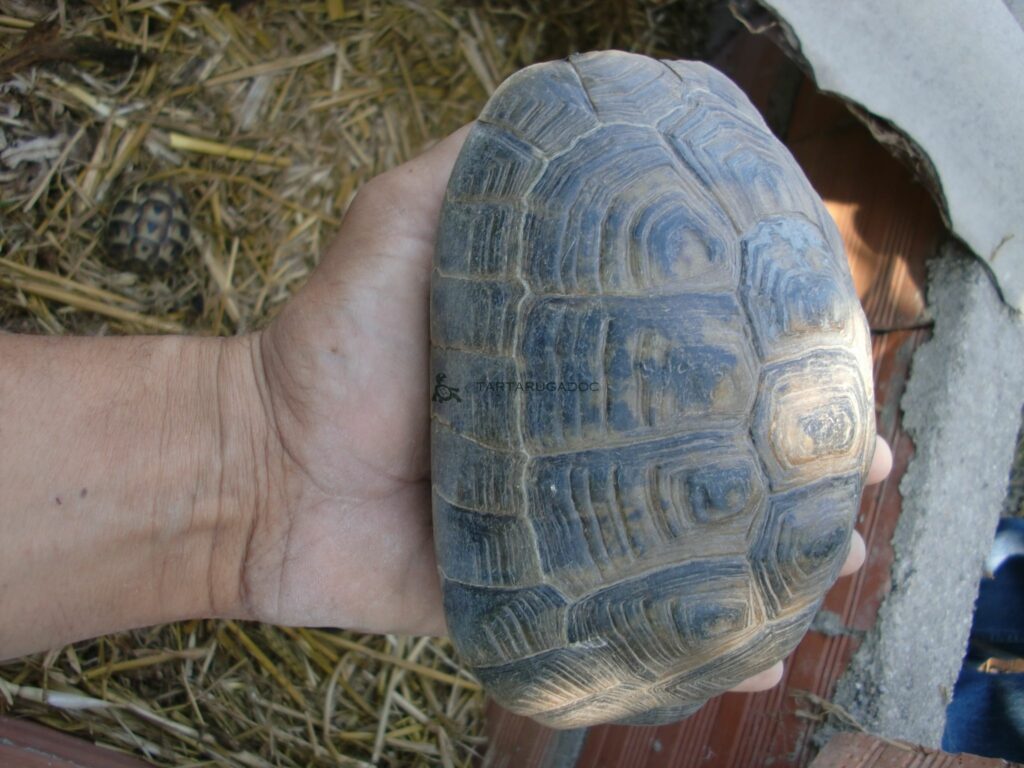 CIMG6543 risultato