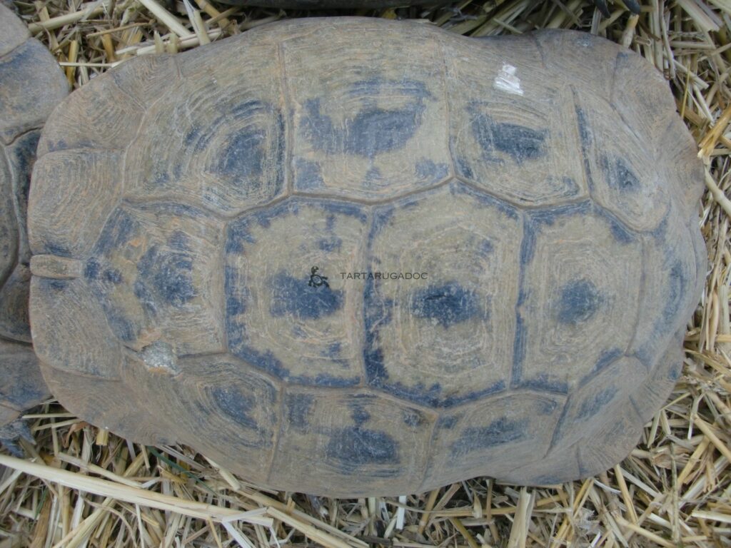 CIMG6602 risultato
