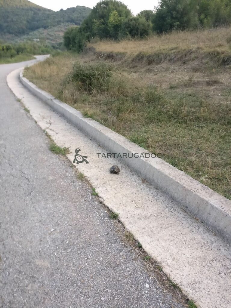 IMG 20160801 201553 risultato risultato