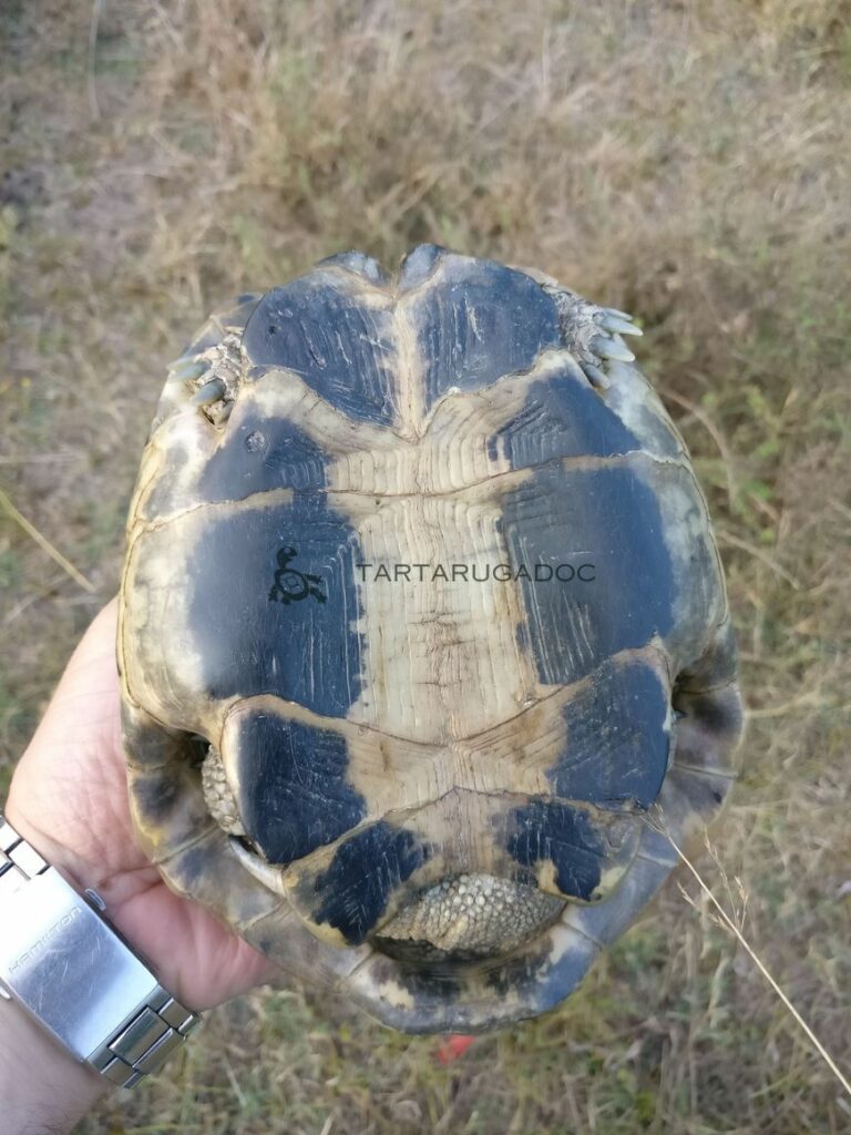 IMG 20180805 193451 01 risultato risultato