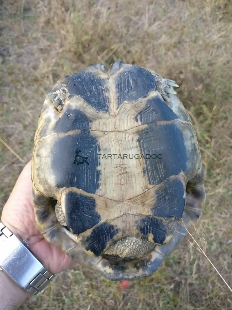 IMG 20180805 193451 risultato risultato